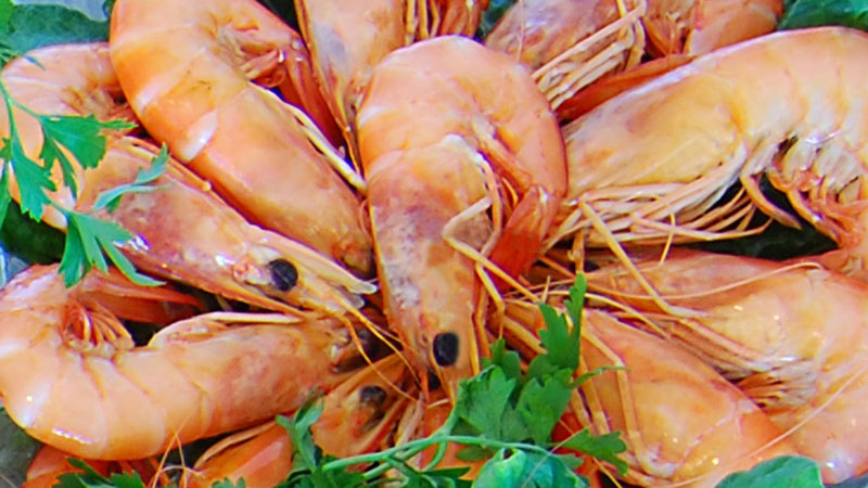 Shrimp au naturel